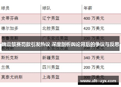 魏震禁赛罚款引发热议 深度剖析舆论背后的争议与反思